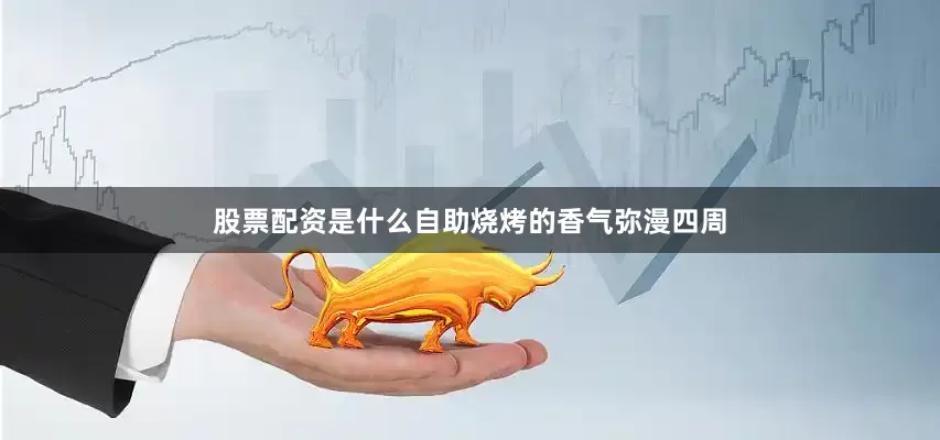 股票配资是什么自助烧烤的香气弥漫四周