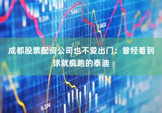 成都股票配资公司也不爱出门：曾经看到球就疯跑的泰迪