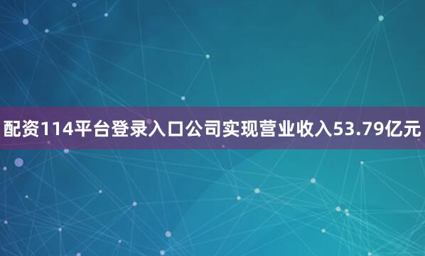 配资114平台登录入口公司实现营业收入53.79亿元