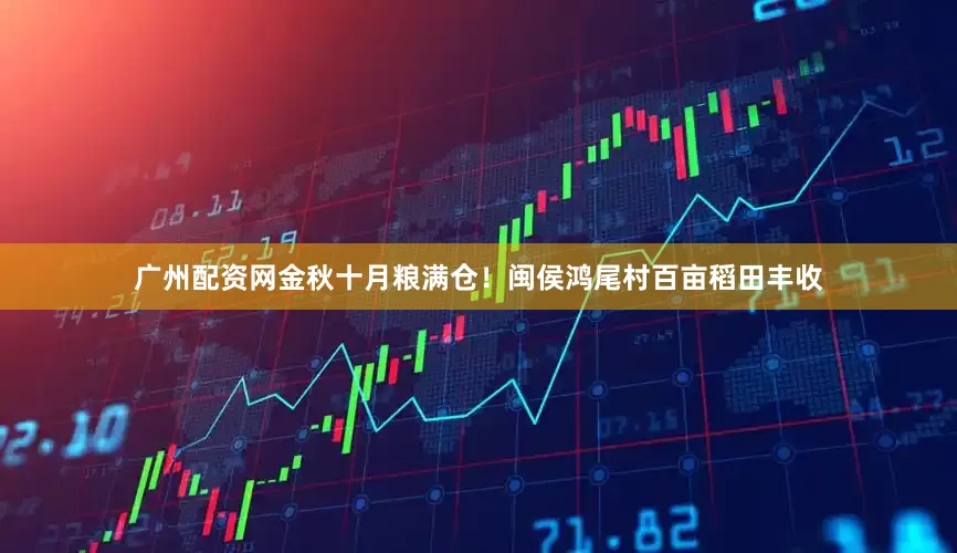 广州配资网金秋十月粮满仓！闽侯鸿尾村百亩稻田丰收